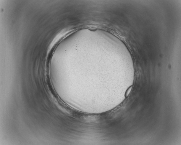 X0000086080102200704202201