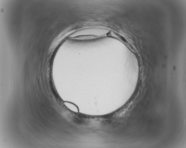 X0000086080103200704202201