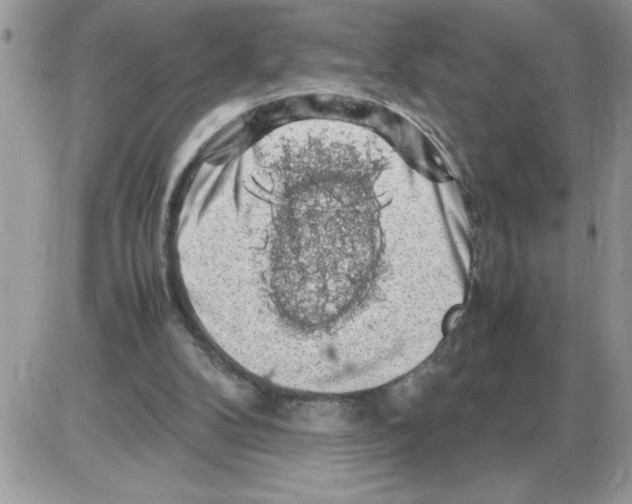 X0000086080104200704202201