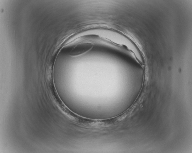 X0000086080105200704202201