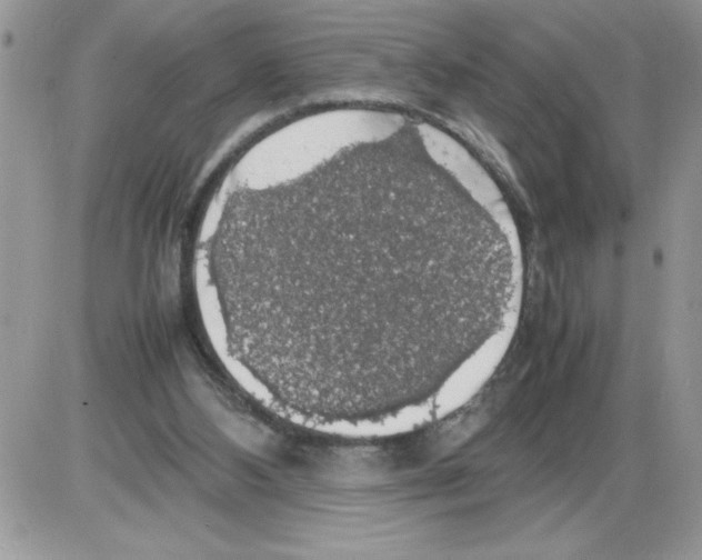 X0000086080108200704202201