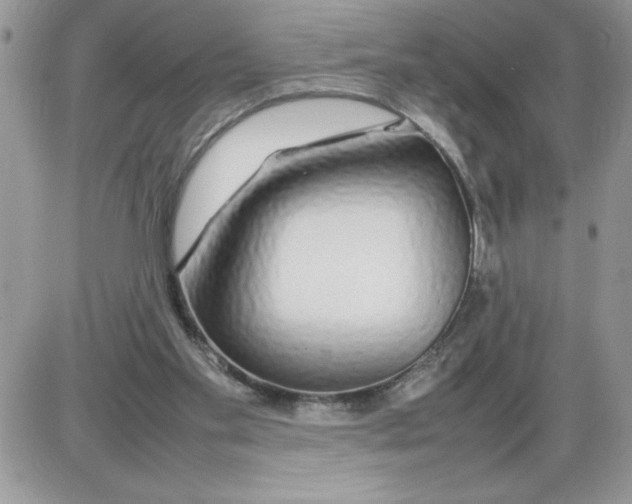 X0000086080109200704202201