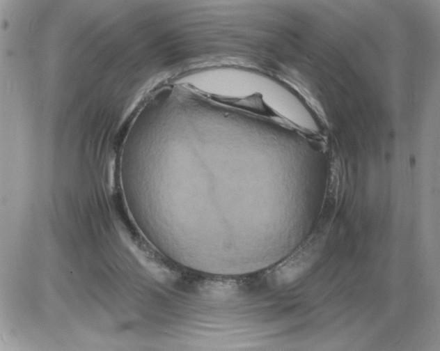 X0000086080110200704202201