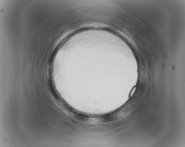 X0000086080111200704202201