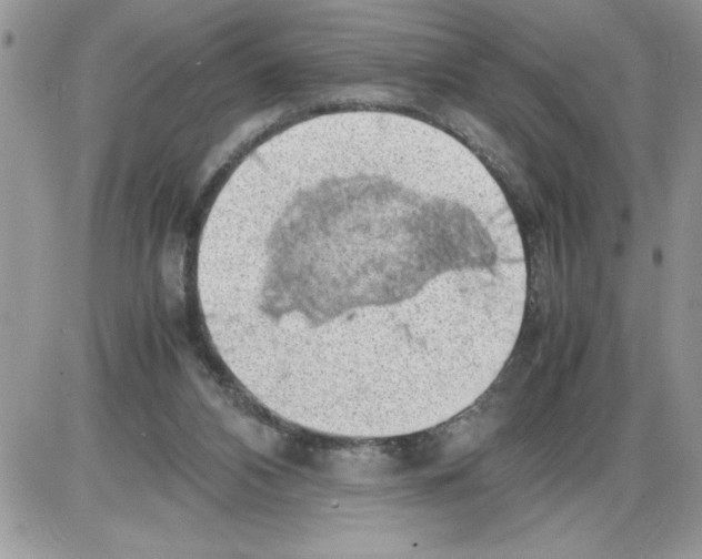 X0000086080112200704202201