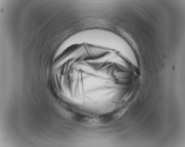 X0000086080113200704202201