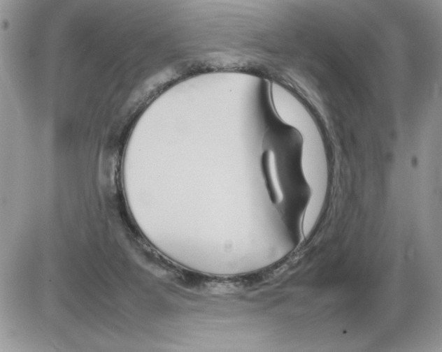 X0000086080115200704202201