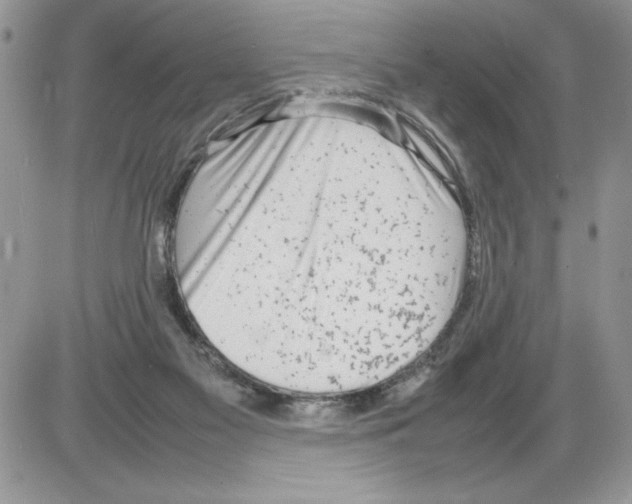 X0000086080117200704202201