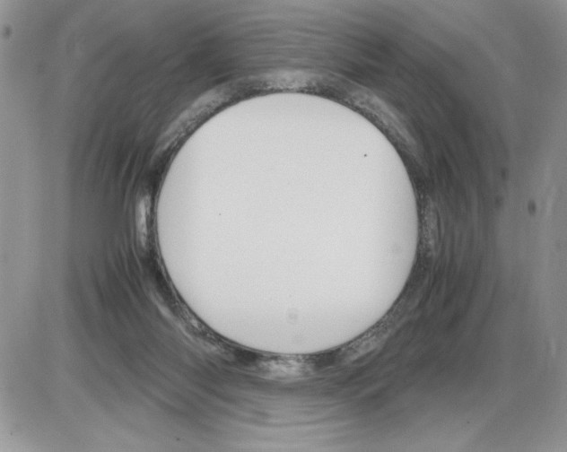 X0000086080118200704202201