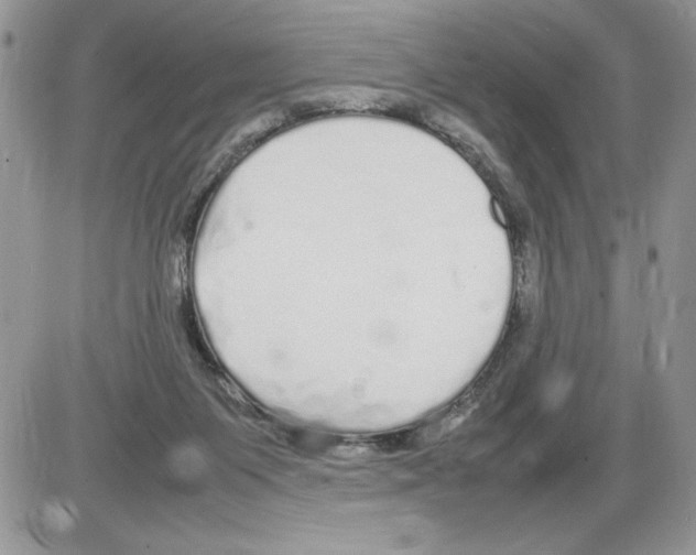 X0000086080119200704202201