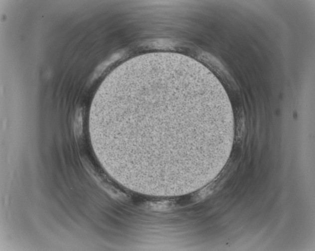 X0000086080120200704202201