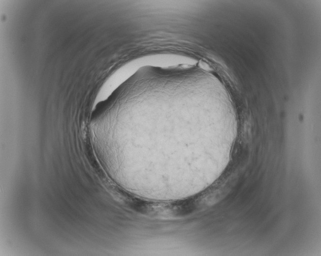 X0000086080121200704202201