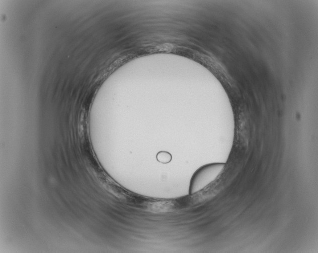 X0000086080122200704202201