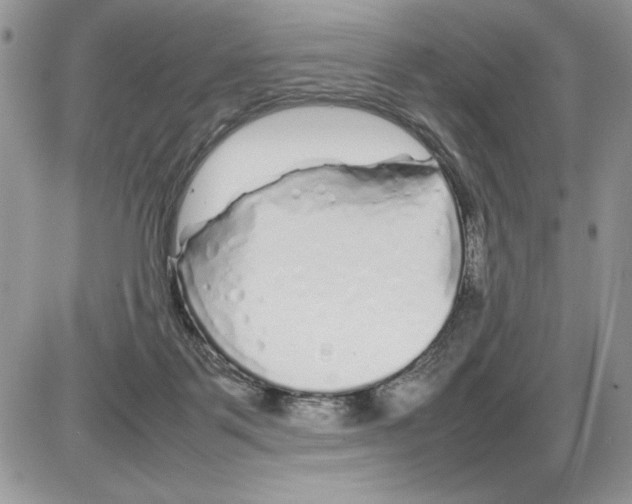 X0000086080123200704202201