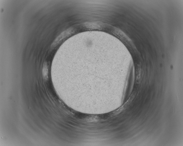 X0000086080124200704202201