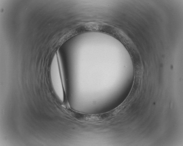 X0000086080125200704202201