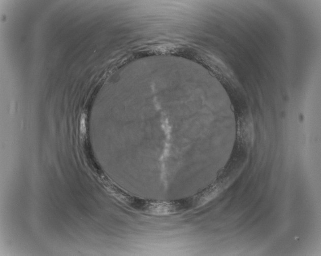 X0000086080127200704202201