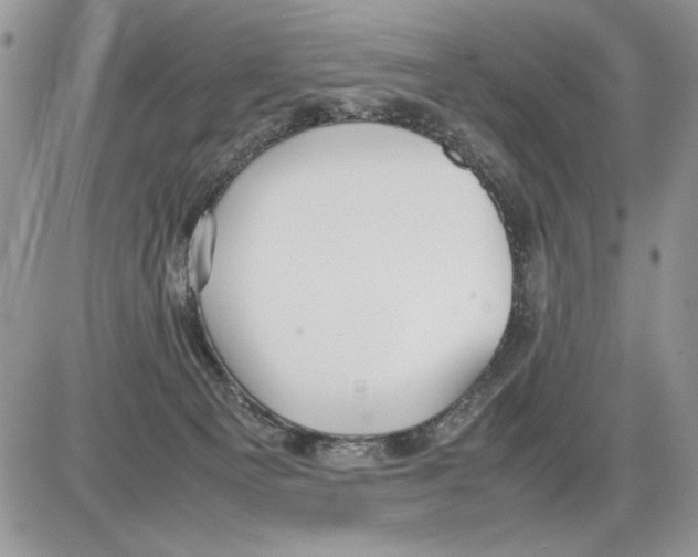 X0000086080129200704202201