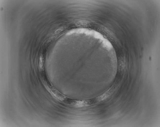 X0000086080130200704202201