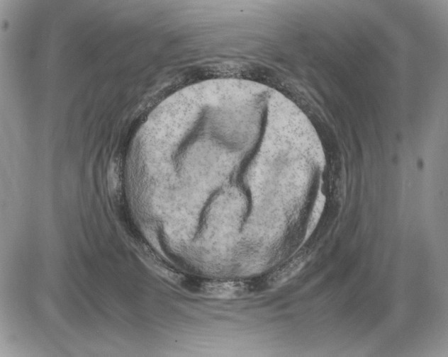 X0000086080131200704202200