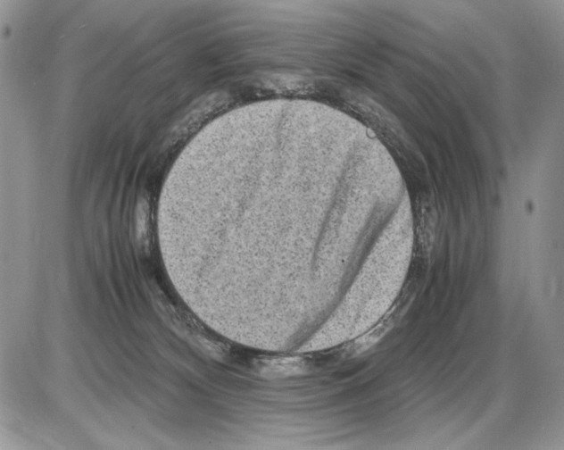 X0000086080132200704202200