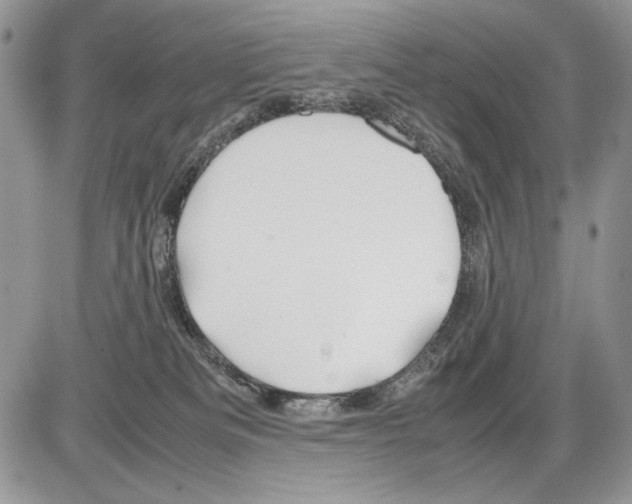 X0000086080133200704202200