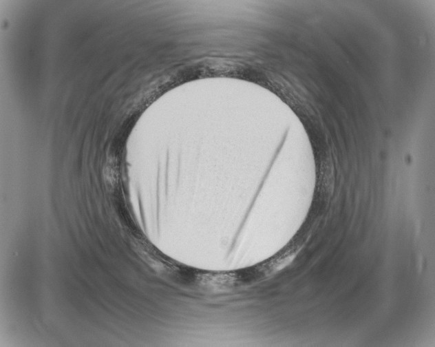 X0000086080135200704202200