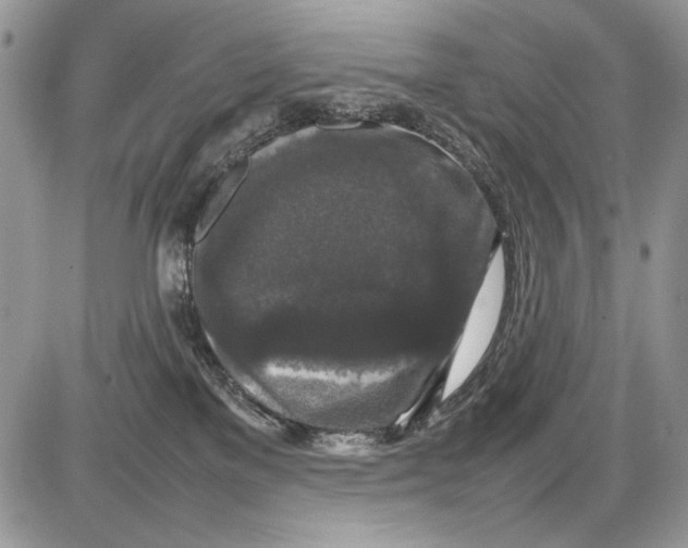 X0000086080137200704202200