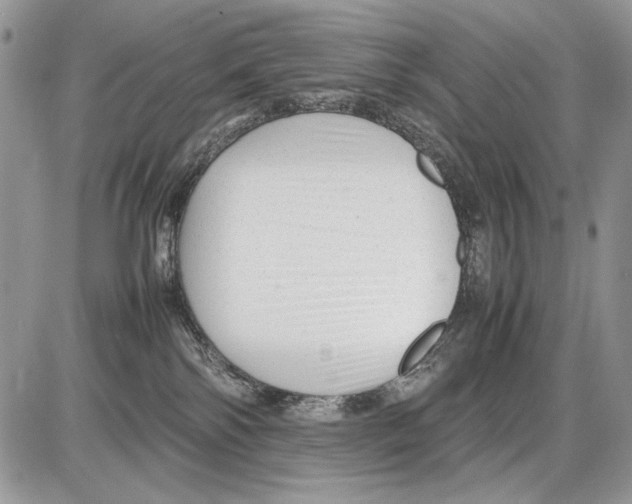 X0000086080138200704202200