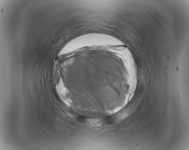 X0000086080139200704202200