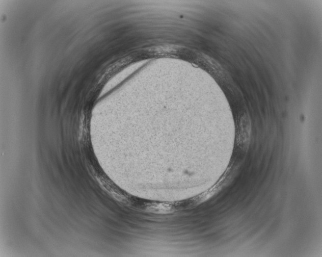 X0000086080140200704202200