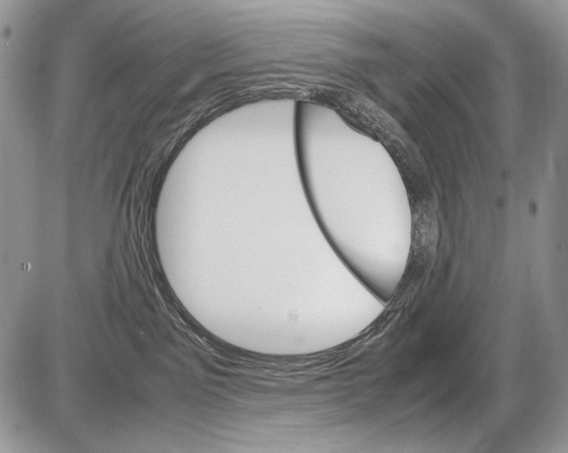 X0000086080141200704202200