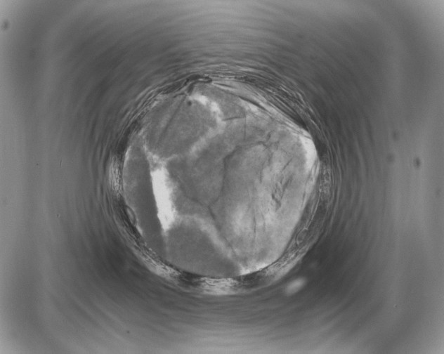 X0000086080143200704202200