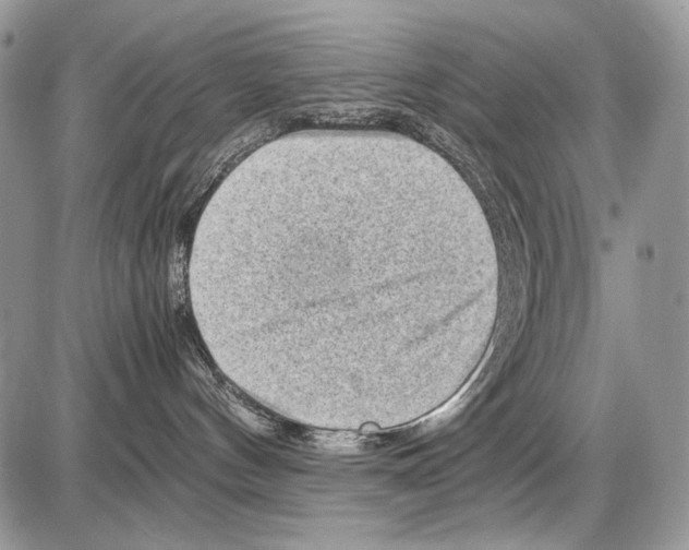 X0000086080144200704202200