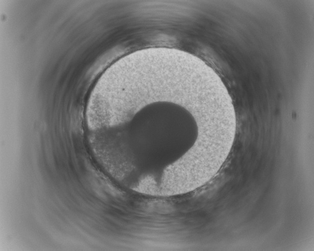 X0000086080146200704202159