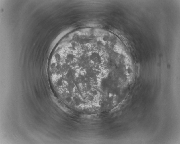 X0000086080147200704202200