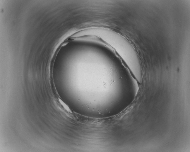 X0000086080148200704202200