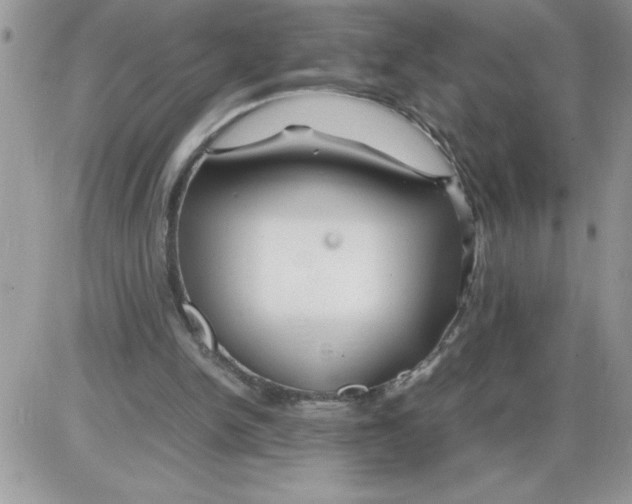 X0000086080150200704202200