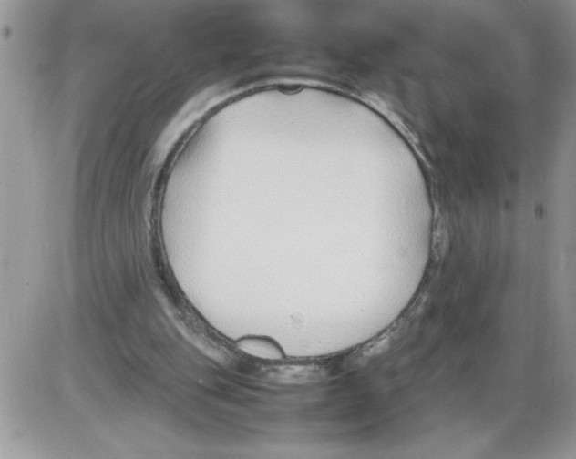 X0000086080151200704202200