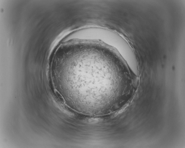 X0000086080152200704202200