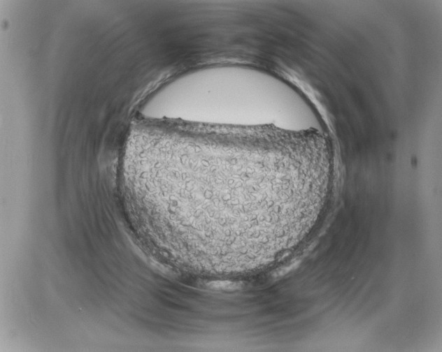 X0000086080153200704202200