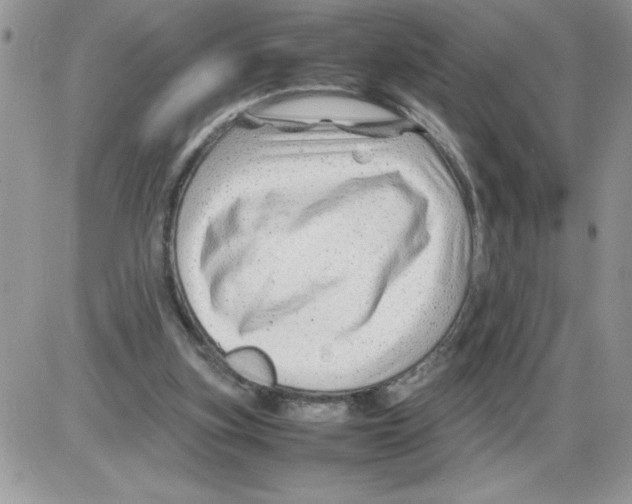 X0000086080155200704202200