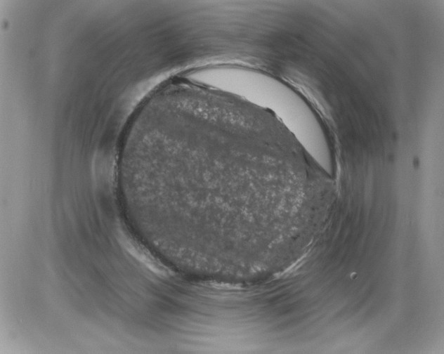 X0000086080156200704202200