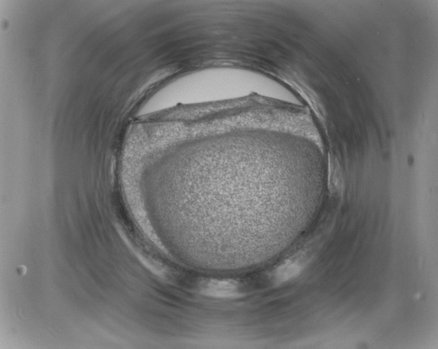 X0000086080157200704202200