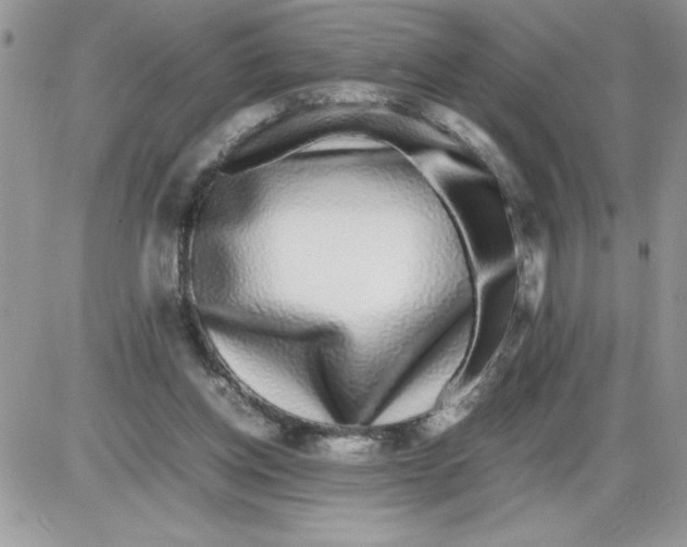 X0000086080158200704202200