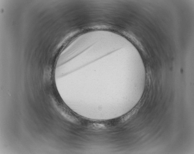 X0000086080159200704202200