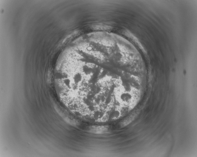 X0000086080161200704202200