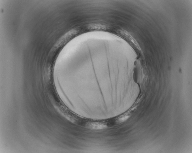 X0000086080163200704202200