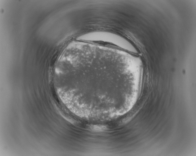 X0000086080165200704202200