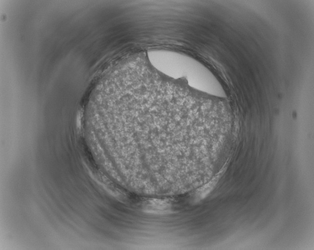 X0000086080166200704202200